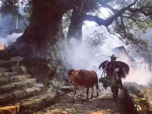 影子忍者传说